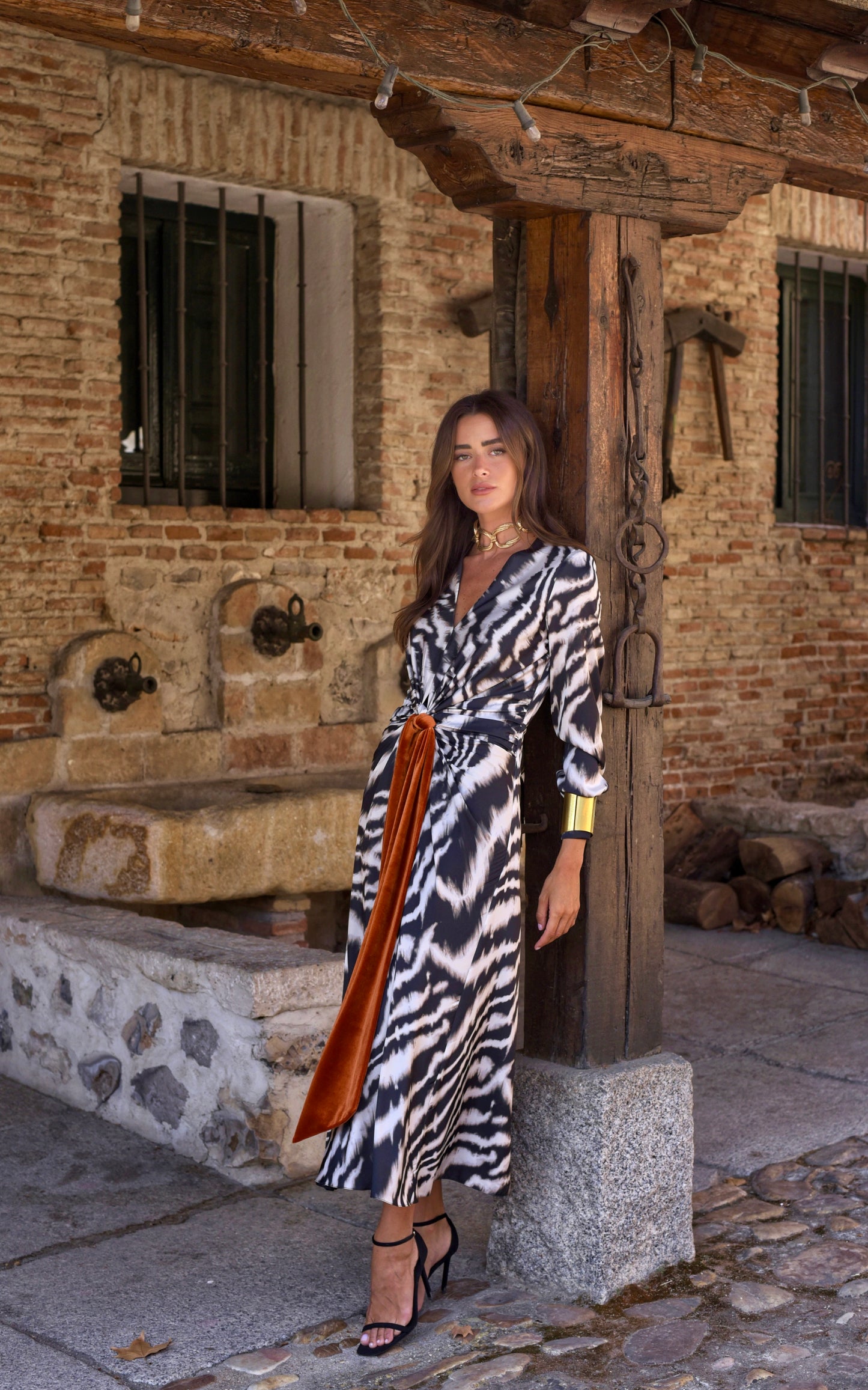 Sodium Zebra Dress