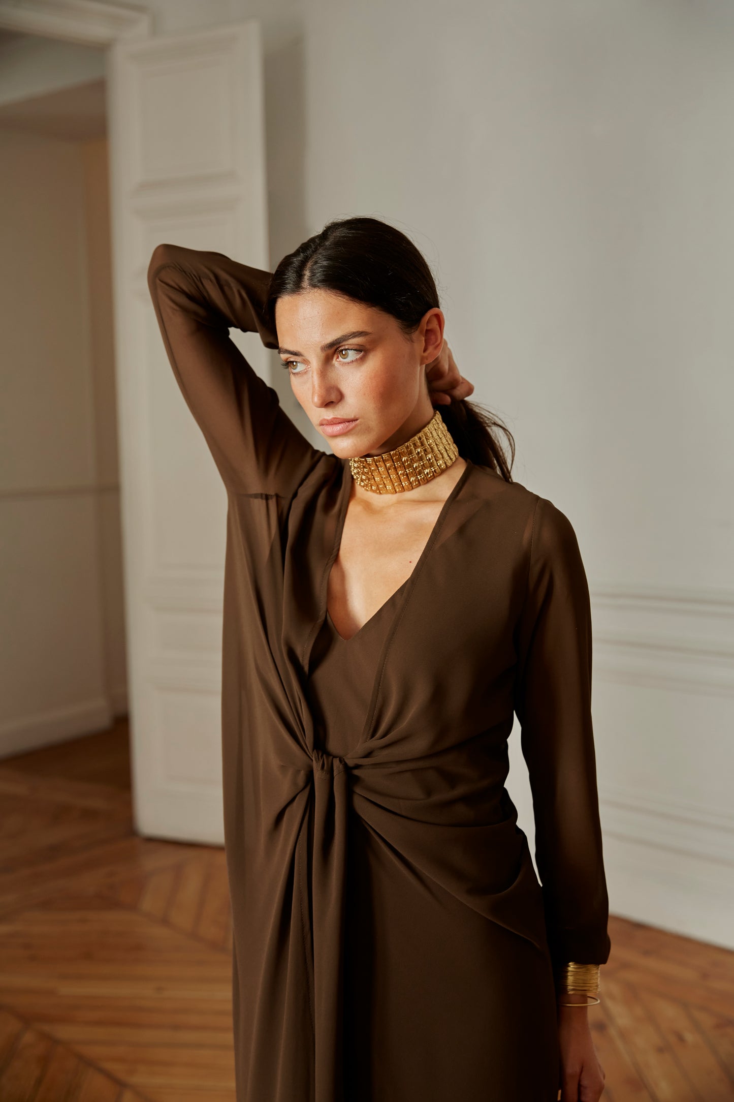 Sabina brown dress