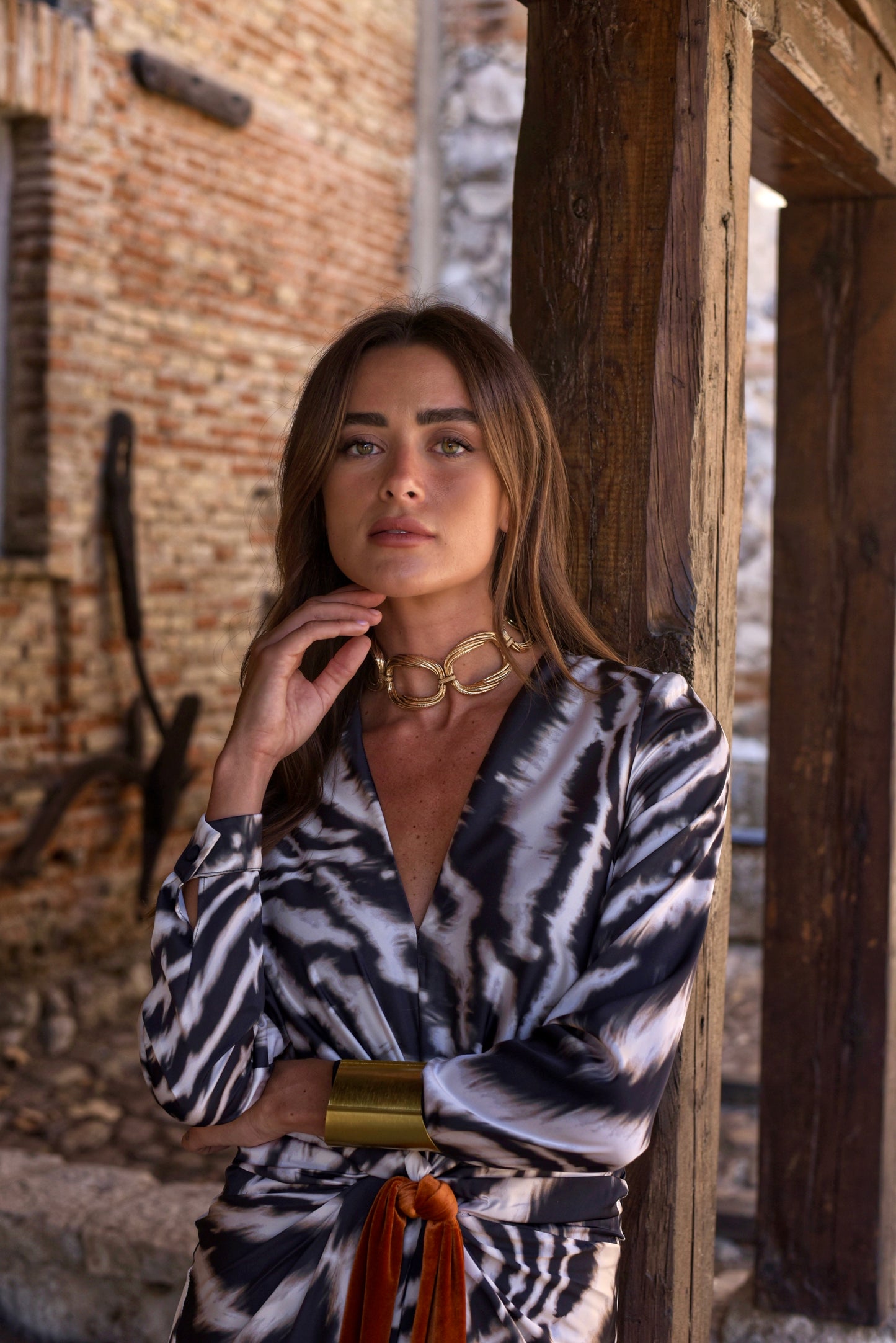 Sodium Zebra Dress