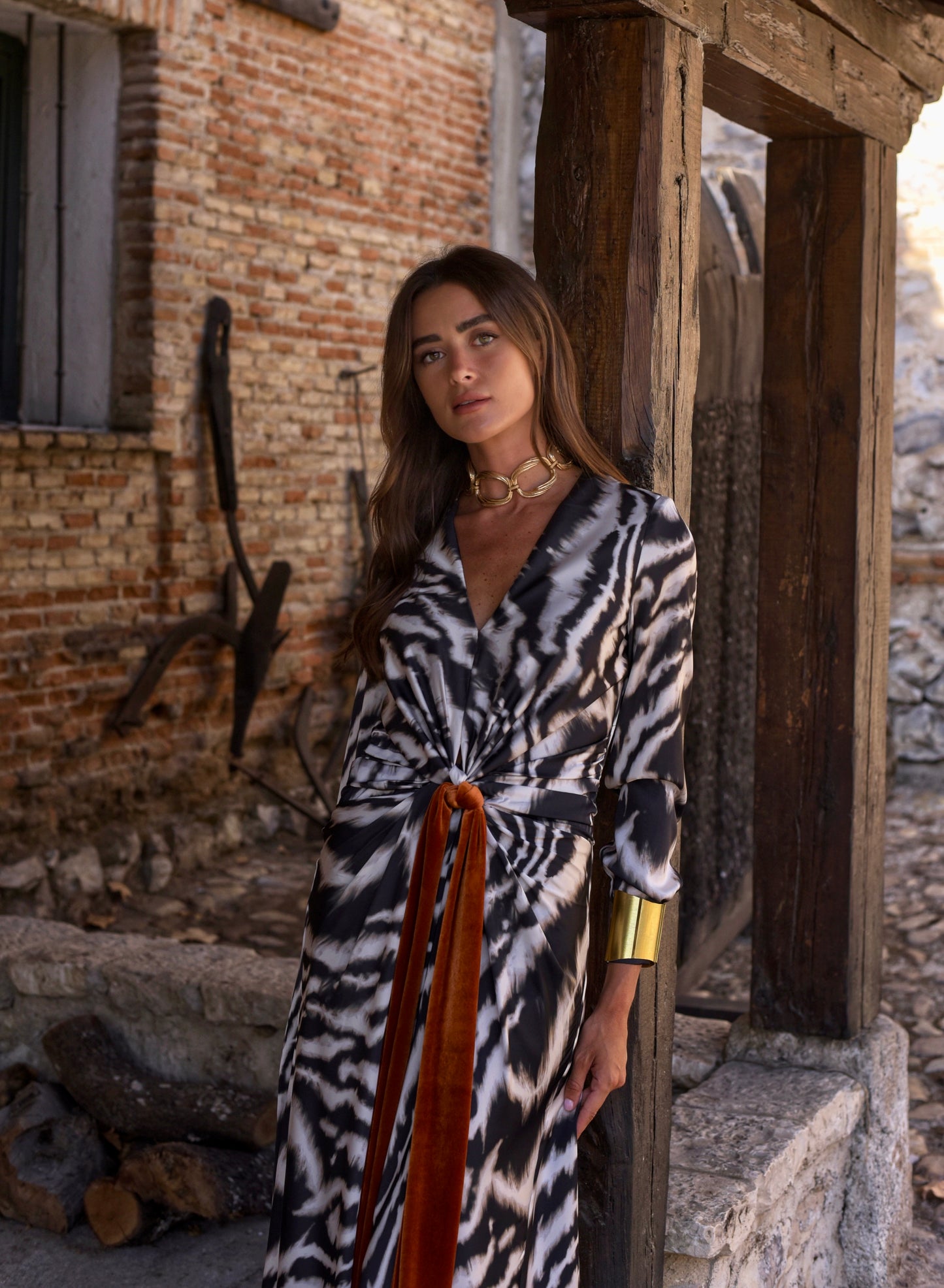 Sodium Zebra Dress