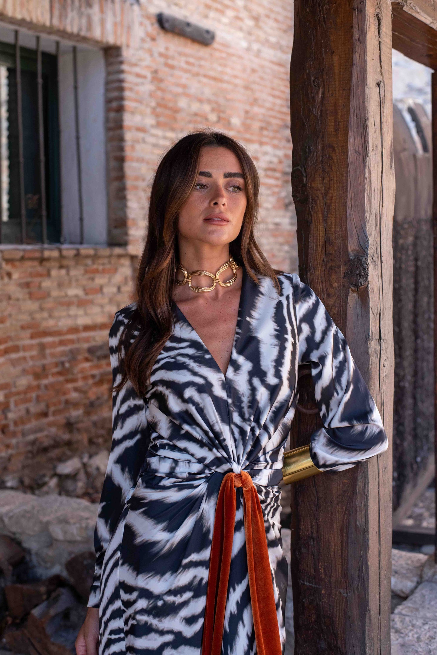 Sodium Zebra Dress